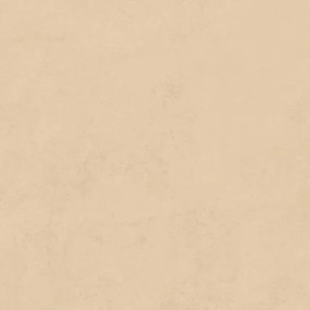 Fineza Terra Járólap beige 60x60 cm matt TERRA60BE