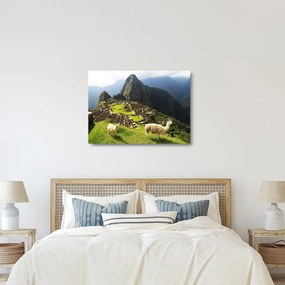Üveg kép - Machu Picchu (70x50 cm)