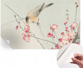 Dekoratív öntapadós fotótapéta Hálószobába Virágos madár 416x254 cm