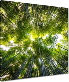 Vászonkép 80x80 Bambusz trópusi erdő