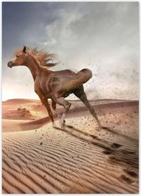 Poszterek 50x70 Galoppozó ló