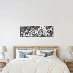 Kép - Százszorszépek (órával) (90x30 cm)