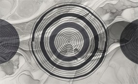 Dekoratív fotótapéta Furnér Flizelin Szürke körök 416x254 Ragasztó