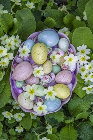 Poszter 30x45cm Húsvéti tojások kosárban 3, Assaf Frank