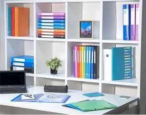 Gyűrűs könyv, 4 gyűrű, 40 mm, A4, PP, EXACOMPTA, sötétzöld (EX512803E)