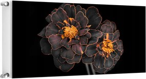 Mágneses Radiátorszőnyeg 120x60 Virágok Fotótapéta