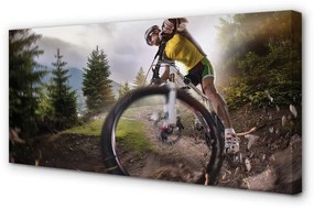 Canvas képek Cloud mountain bike 100x50 cm