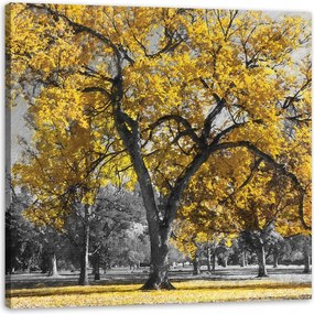 Vászonkép Fekete fák Sárga levelek 80X80 cm Ajándéknak is tökéletes