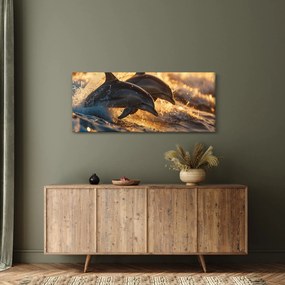 Kép - Delfinek (120x50 cm)