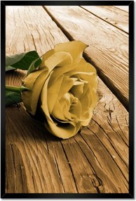 Poszterek keretben 40x60 Rózsa a deszkákon