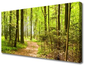 Canvas kép Forest Path Természet 140x70 cm