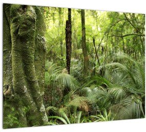 Trópusi esőerdő kép (üvegen) (70x50 cm)