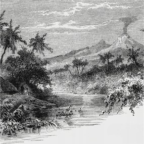 Fotótapéta Flizelina Dekoratív az irodába Egzotikus panoráma 250x250 Ragasztó