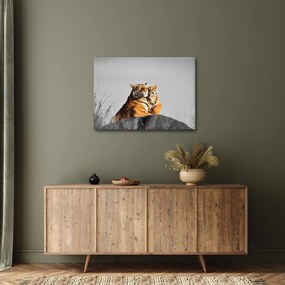 Kép - Tigris és a kölyke, fekete-fehér változat (70x50 cm)