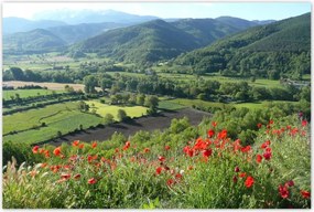 Poszterek 120x80 Virágos kilátás a hegyekben