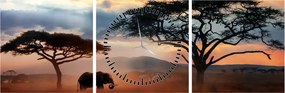 Kép - Serengeti Nemzeti Park, Tanzánia, Afrika (órával) (90x30 cm)