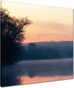 Vászonkép 50x50 Tél Köd Erdő Tó