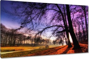 Vászonkép 120x70 Bajusz park