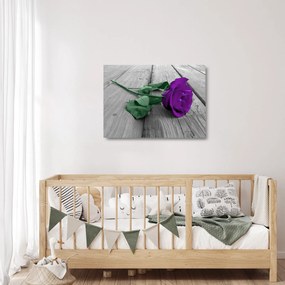 Üveg kép - Lila rózsa zöld szárral (70x50 cm)