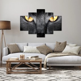Kép - Közeli portré egy macskáról (150x105 cm)