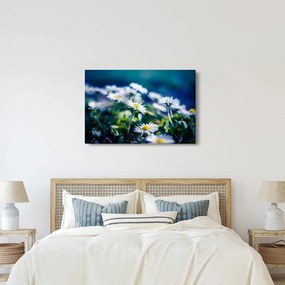 Százszorszépek képe (90x60 cm)