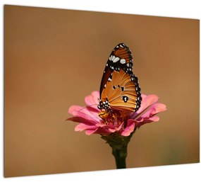 Pillangó képe a virágon (üvegen) (70x50 cm)