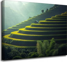 Vászonkép Természet Teraszok Mezőgazdaság 50x40 cm