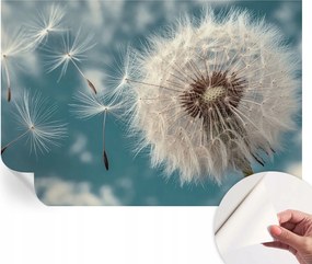 Öntapadós Dekoratív Fotótapéta Hálószobába Könnyű éteriség 152x104