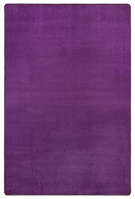 Sötétlila szőnyeg 160x240 cm Fancy – Hanse Home