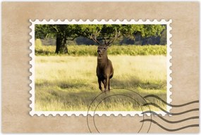 Poszterek 120x80 Szarvas a réten az erdőben