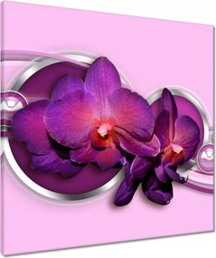 Vászonkép 60x60 Lila orchidea