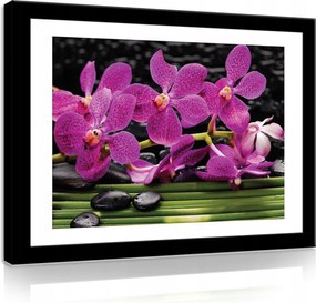 Vászonkép 80x60 Lila orchideák fekete kövek bambusz zen nyugalom szépség