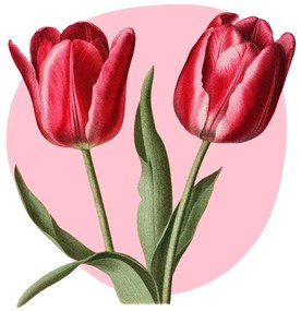 PIPPER. Textil falmatrica "Tulipánok"