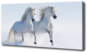 Vászonkép Két ló a hóban oc-46568530