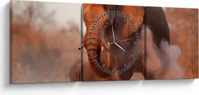 Kép - Nagy afrikai elefánt (órával) (90x30 cm)