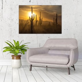 Kép - Saguaro kaktuszok (90x60 cm)