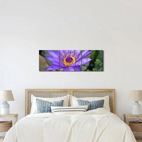 Kép - Lila virág (órával) (90x30 cm)