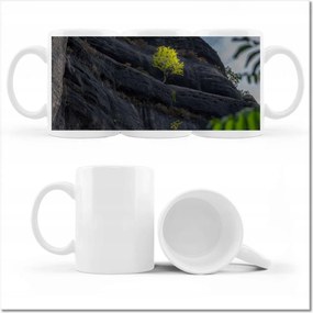 Bögre fényképpel Fa Fák Kilátás