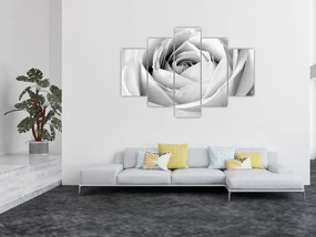Kép - Rózsa virág részlete (150x105 cm)