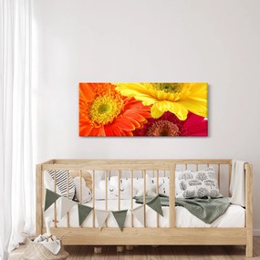 Kép - Virágok Gerbery (120x50 cm)