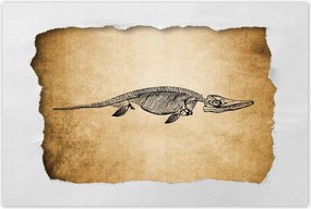 Poszterek 60x40 Dinoszaurusz őstörténet Dino