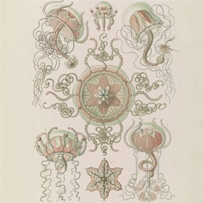 Fotótapéta Flizelin Tapéta Hálószoba és Nappali Víz alatti világ 250x250