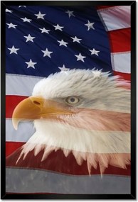 Poszterek keretben 40x60 Freedom from Usa