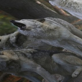 Kép - Farkasok a sziklán (120x50 cm)