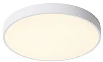 PALNAS-61004723 FANY Fehér színű Mennyezeti lámpa xLED 60W IP20