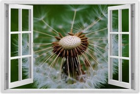 Poszterek 60x40 Pitypang Virág Virágok