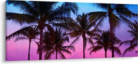 Kép - Pálmafák Miamiban (120x50 cm)