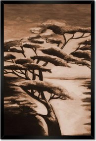 Poszterek keretben 40x60 Afrikai fa
