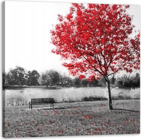 Vászonkép Szürke Piros levelek Kontraszt 40X40 cm