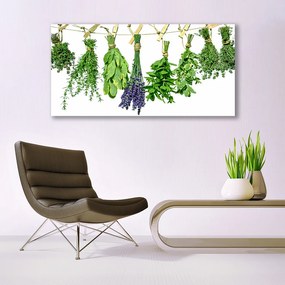 Akrilkép Szirmok virágok Gyógynövények 125x50 cm